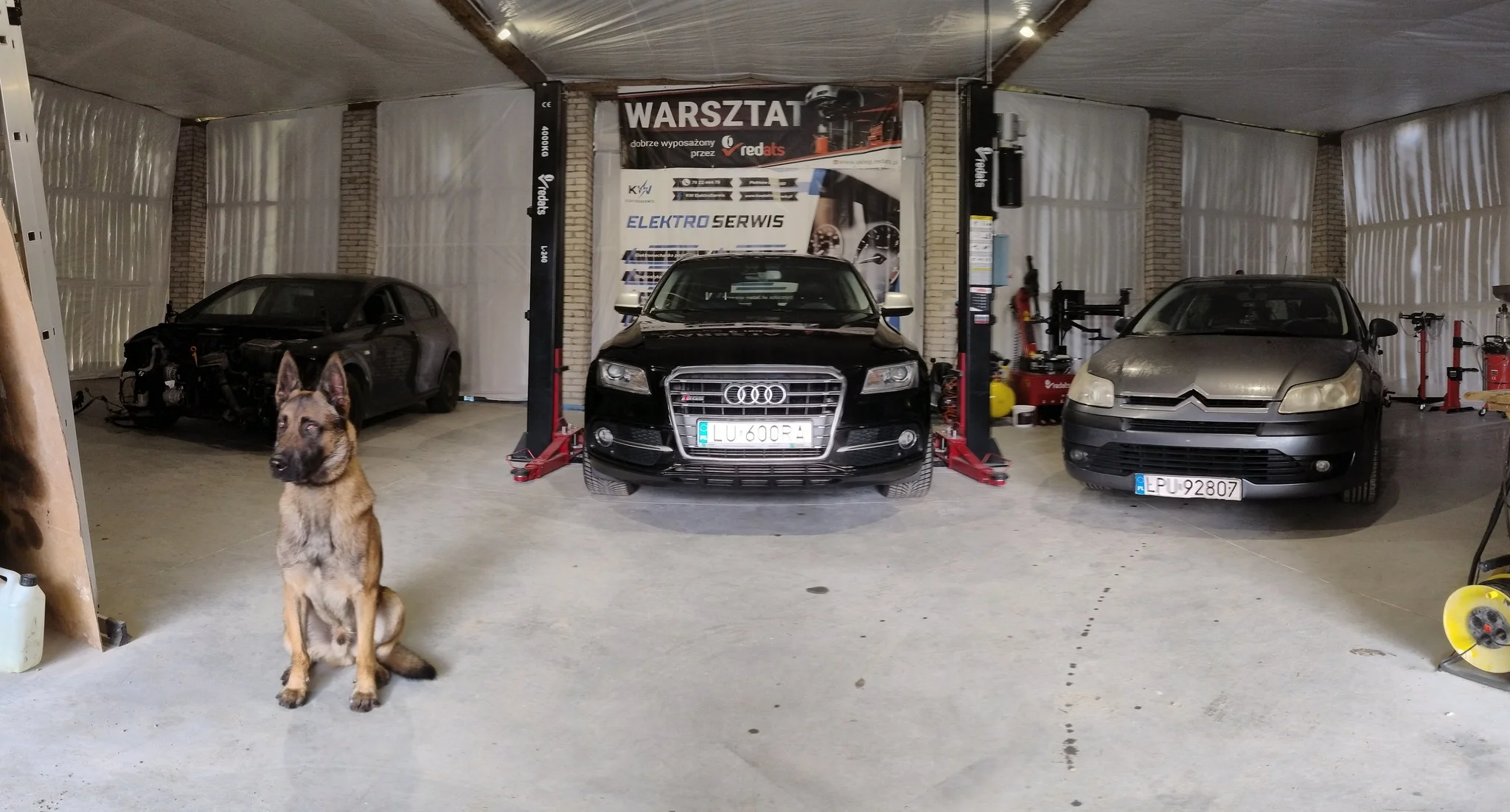 Panorama warsztatu samochodowego z trzema autami i psem rasy owczarek belgijski malinois na pierwszym planie.